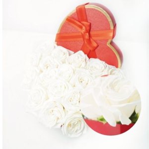 Love Box