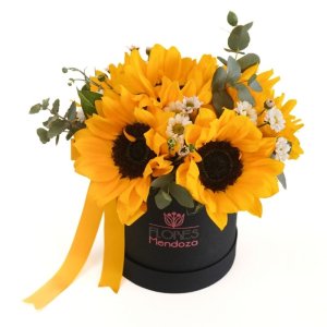 Box de 6 girasoles.